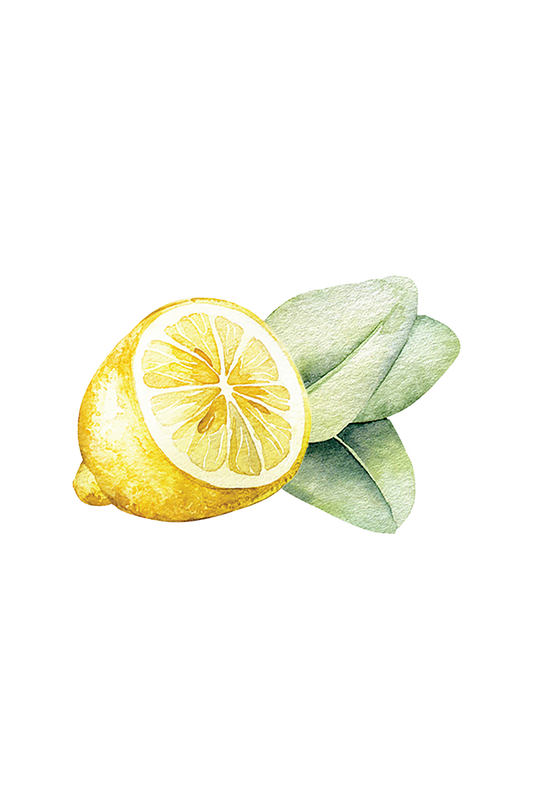 Dish Soap | Lemon & Eucalyptus - Homeland Harvest