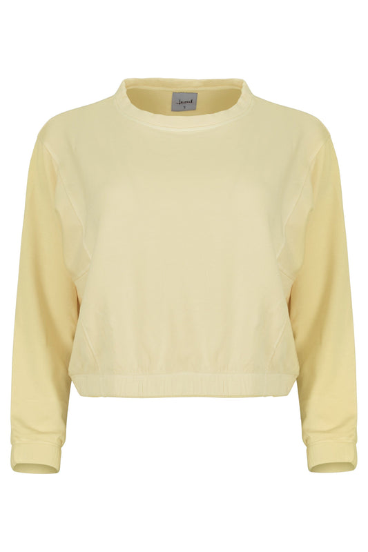 Ivy Boxy Cropped Modal Pullover - Sunny