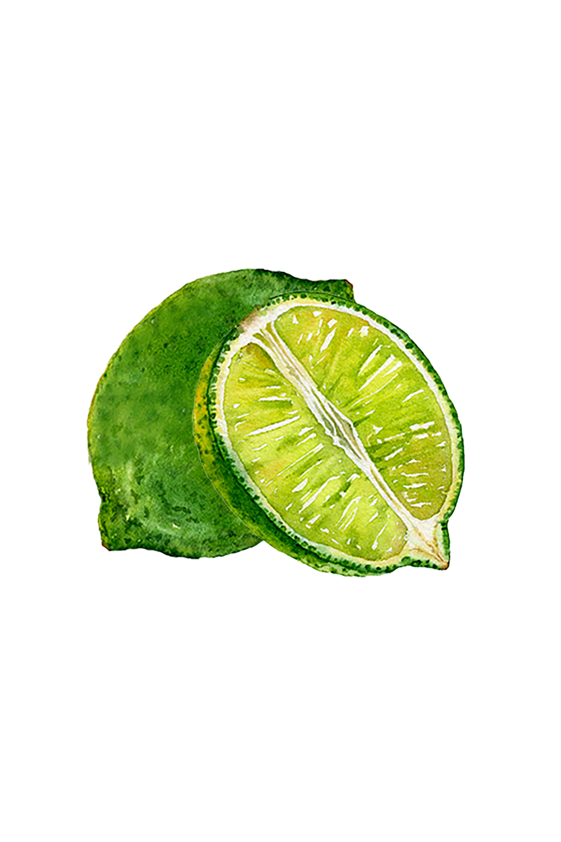 Lime Essential Oil - Homeland Harvest