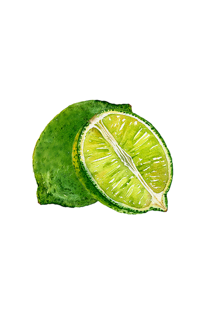 Lime Essential Oil - Homeland Harvest