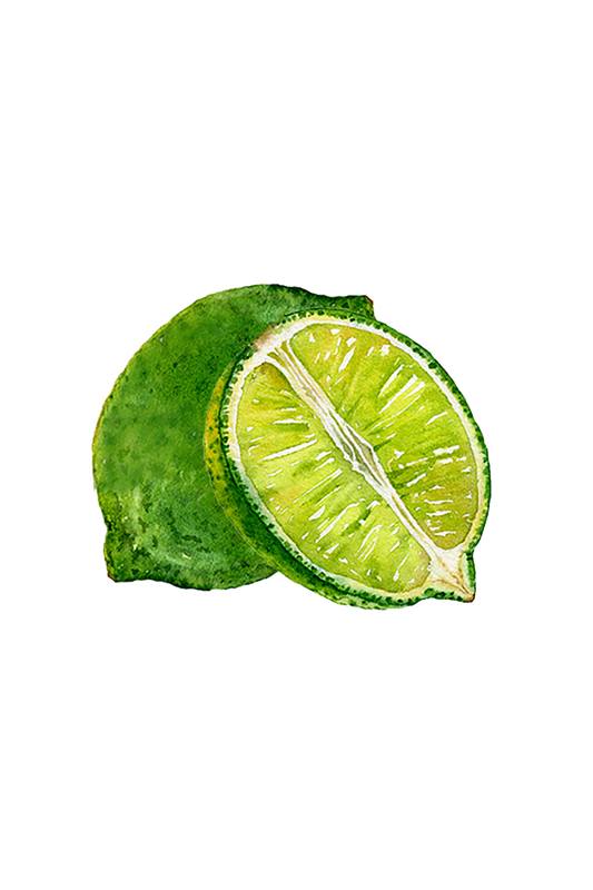 Lime Essential Oil - Homeland Harvest