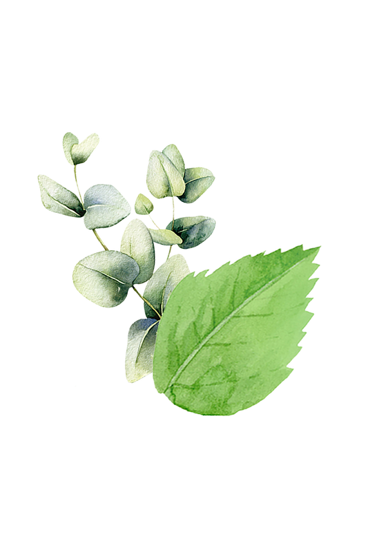 Mint & Eucalyptus Essential Oil Blend - Homeland Harvest