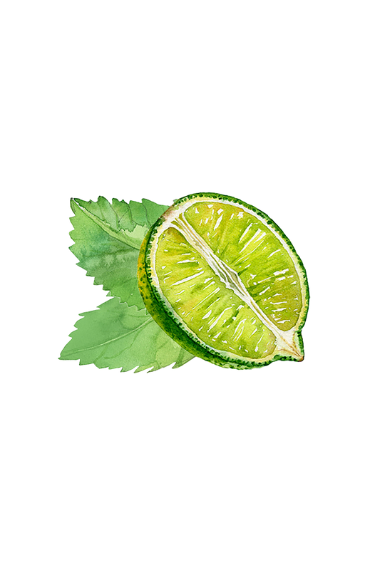 Mint & Lime Essential Oil Blend - Homeland Harvest