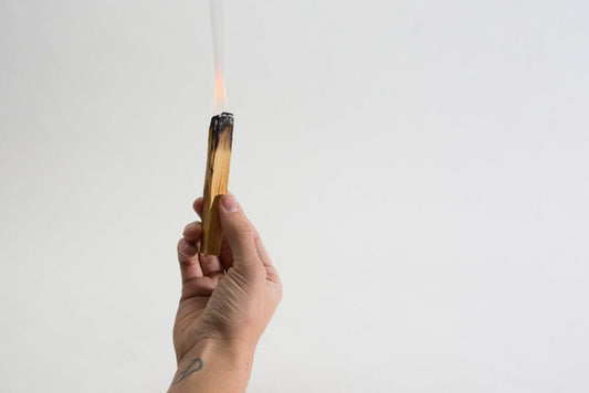Palo Santo - Homeland Harvest