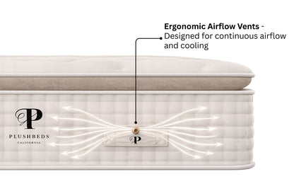 Organic Mattress - The Organic Bliss Pillowtop