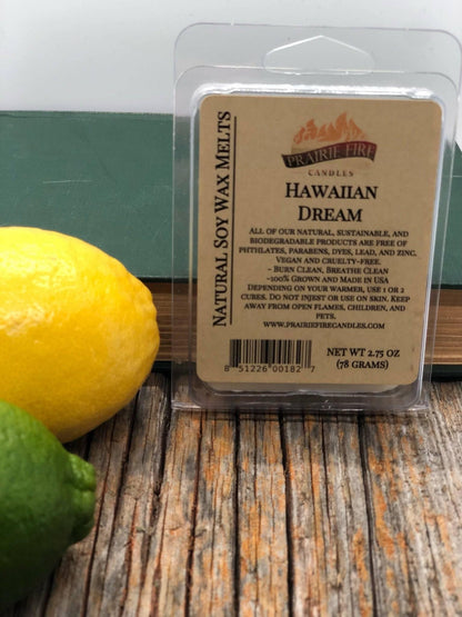 Soy Wax Melts | Wax Cubes | Wickless Candles | Small Batch | Vegan