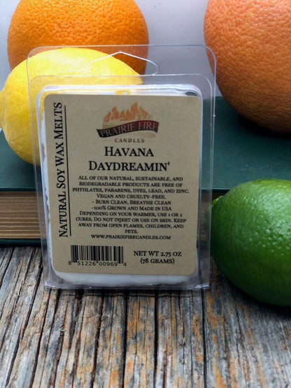 Soy Wax Melts | Wax Cubes | Wickless Candles | Small Batch | Vegan