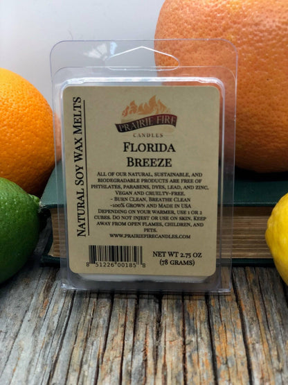 Soy Wax Melts | Wax Cubes | Wickless Candles | Small Batch | Vegan