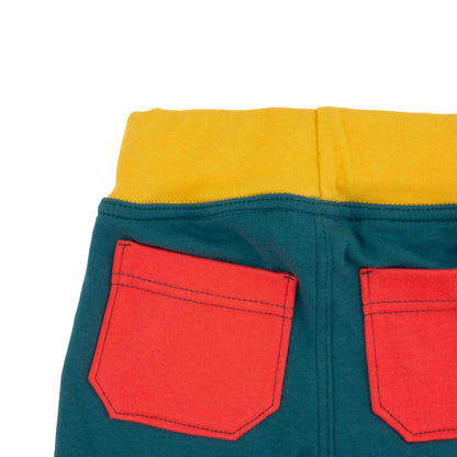 Toddler Colorblock Joggers - Homeland Harvest