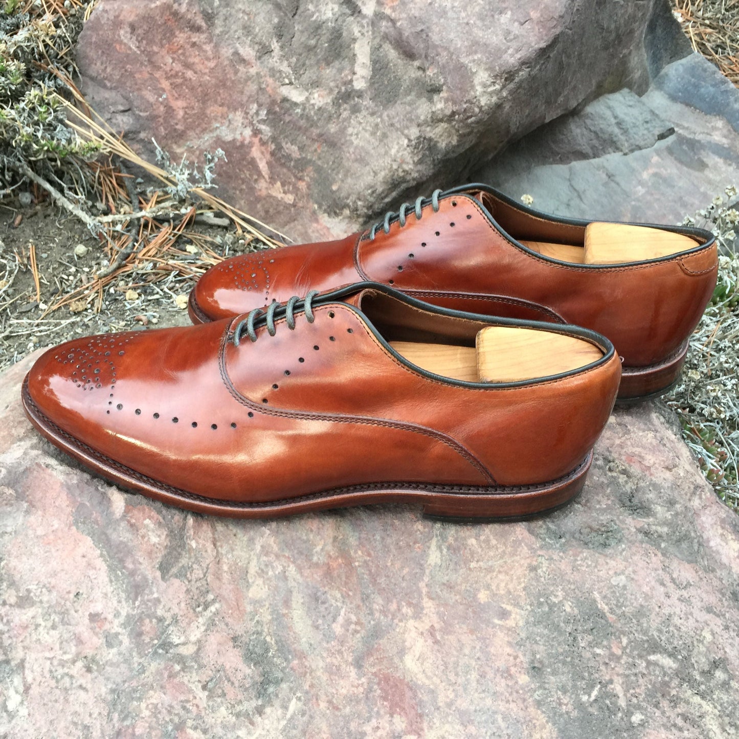 Walnut Leather Cream Polish - Homeland Harvest