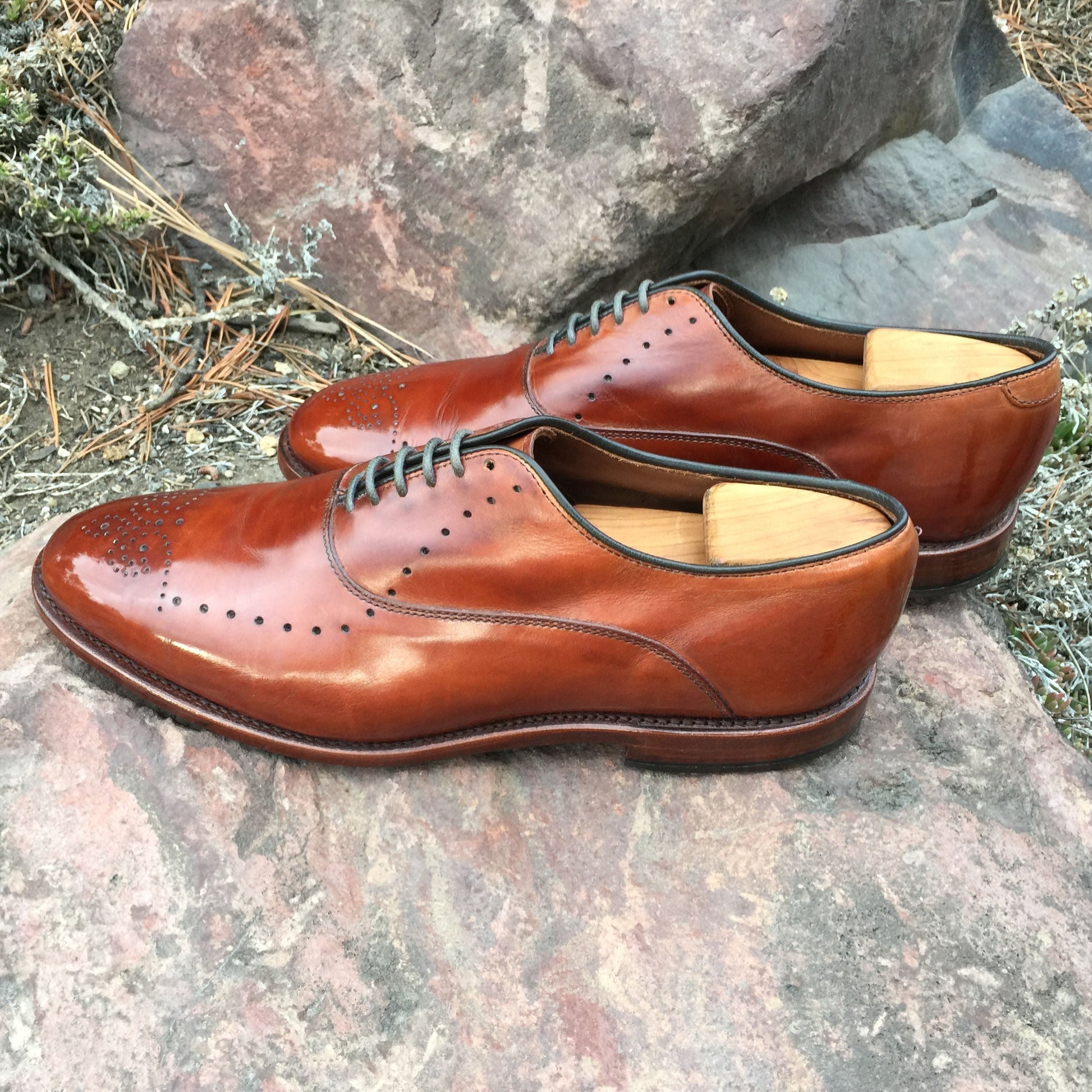 Walnut Leather Cream Polish - Homeland Harvest